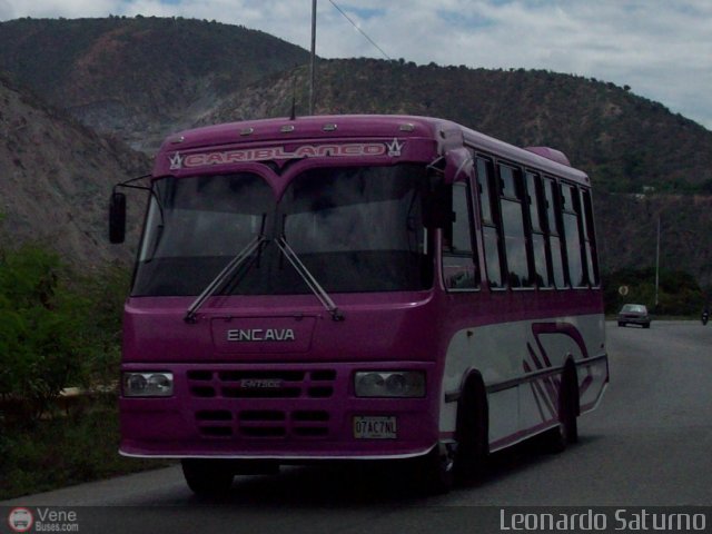 Particular o Desconocido 07 por Leonardo Saturno