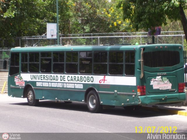 Universidad de Carabobo 501 por Alvin Rond�n