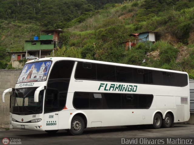 Expresos Flamingo 0096 por David Olivares Martinez