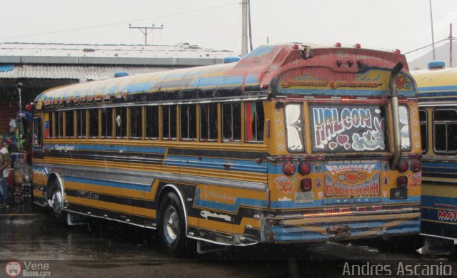 Transporte Guacara 0096 por Andr�s Ascanio