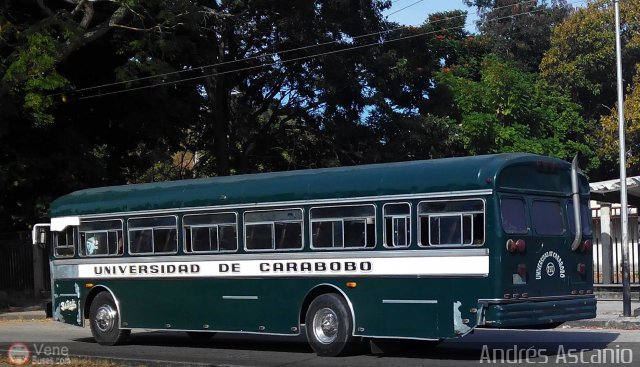 Universidad de Carabobo 190 por Andr�s Ascanio