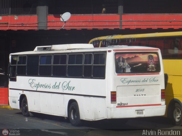 Expresos Del Sur 2018 por Alvin Rondn