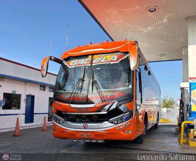 Tax Gacela 010 por Leonardo Saturno