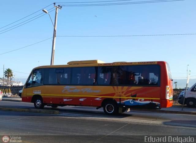 Foto �nibus Brasil.com, por Eduard Delgado