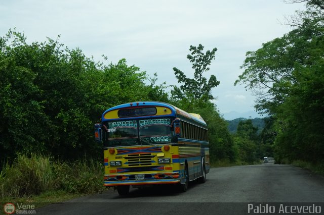 Expresos J�uregui 079 por Pablo Acevedo