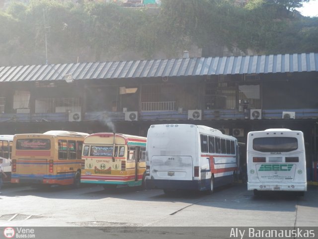 Garajes Paradas y Terminales Caracas por Aly Baranauskas