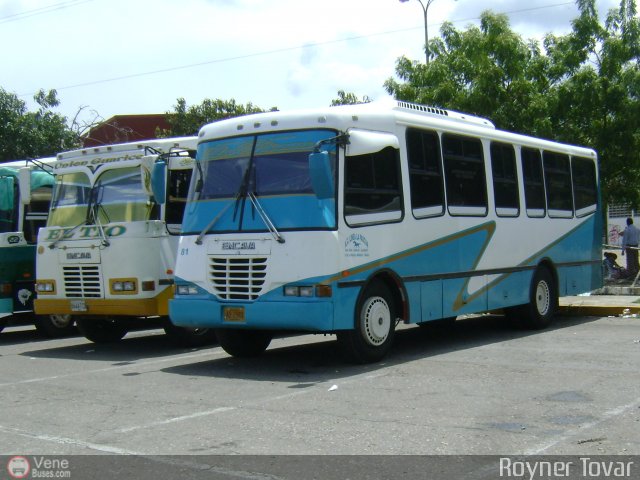 A.C. L�nea La Pascua 081 por Royner Tovar