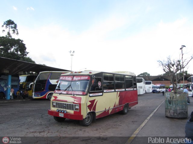 L�nea Uni�n Vargas 14 por Pablo Acevedo