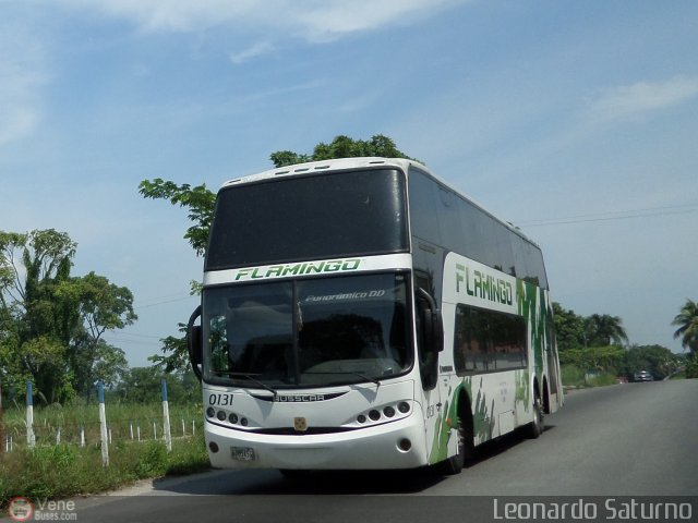 Expresos Flamingo 0131 por Leonardo Saturno