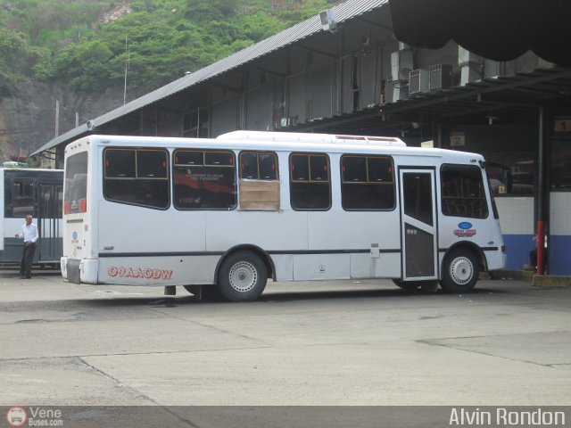 U.C. L�neas Unidas 108 por Alvin Rond�n