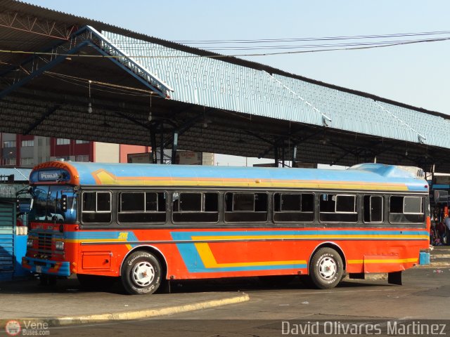 Colectivos Perij� 26 por David Olivares Martinez