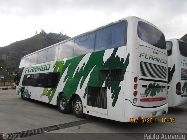 Expresos Flamingo 0171 por Pablo Acevedo