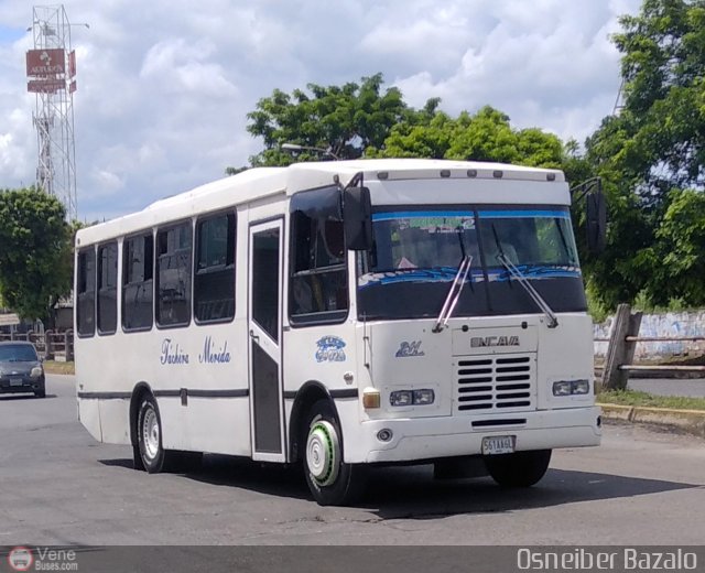 A.C. Mixta de Transporte T�chira M�rida R.L. 0211 por Osneiber Bazalo
