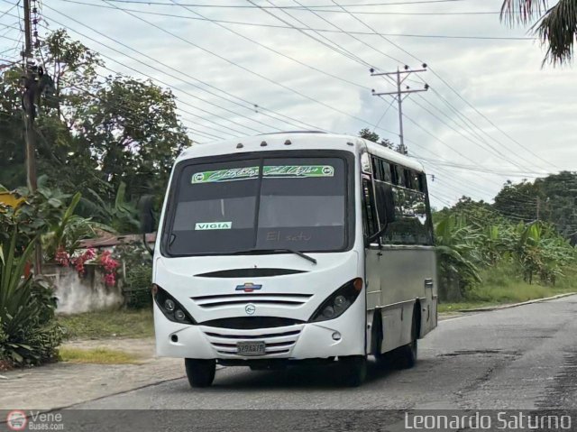 Colectivos El Vig�a 20 por Leonardo Saturno