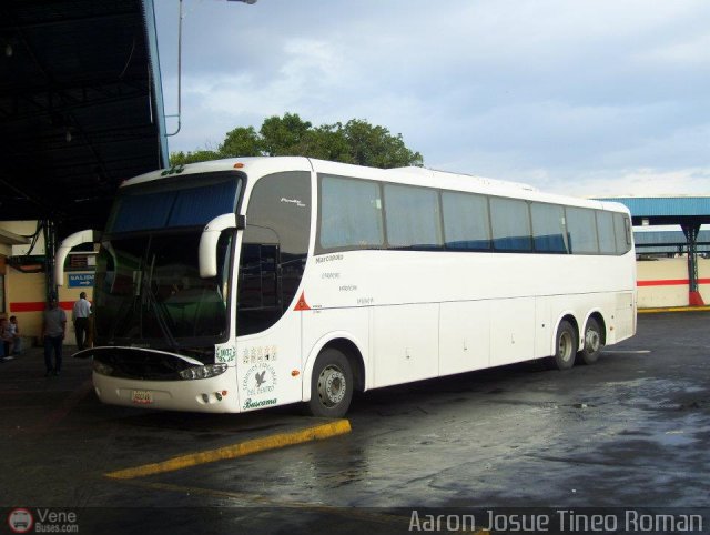 Servicios Especiales del Centro C.A. 37 por Alvin Rondn