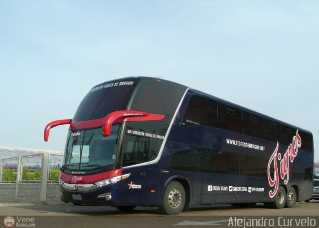 Tigres de Aragua B.B.C. 01 por Alejandro Curvelo