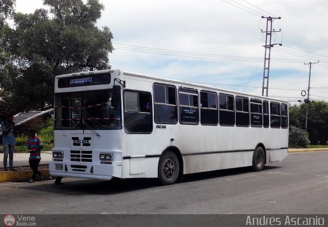 CA - Asoc. Coop. de Transporte La Arenosa R.L. 001 por Andrs Ascanio