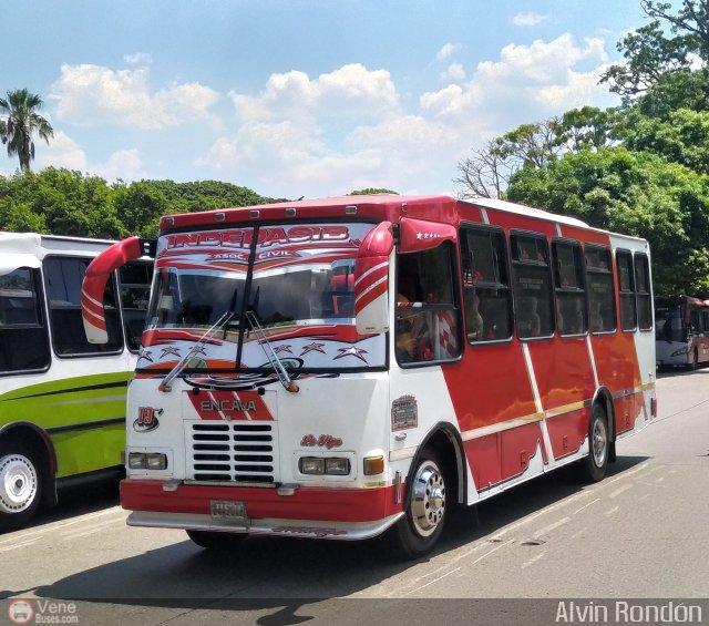 A.C. Indepasib 019 por Alvin Rond�n