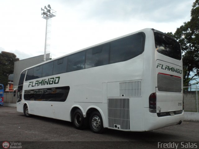 Expresos Flamingo 0116 por Freddy Salas