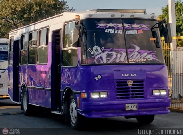 AR - Ruta Comunal Mario Brice�o Iragorry 028 por Jorge Carmona