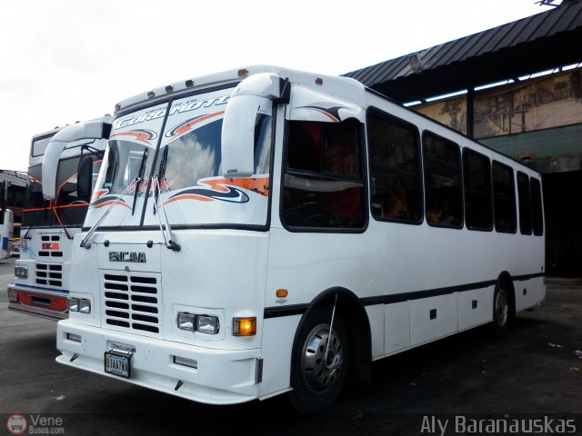 Particular o Desconocido 01A por Aly Baranauskas