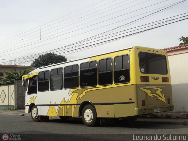L�nea Los Andes S.C. 029 por Leonardo Saturno