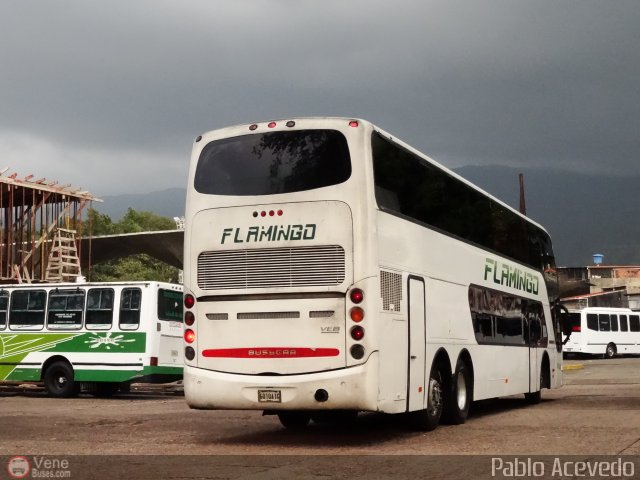 Expresos Flamingo 0108 por Pablo Acevedo
