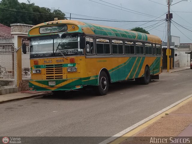 ZU - Colectivos Concepcin 006 por Abner Sarcos