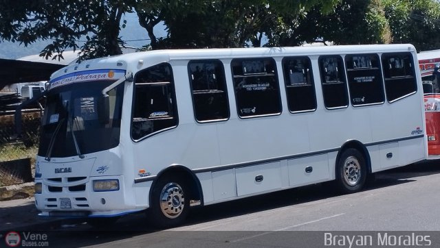 A.C. Pedraza 087 por Jerson Nova