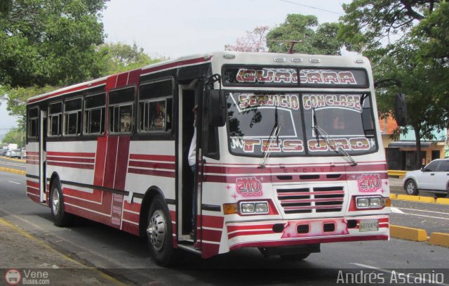 Transporte Guacara 0210 por Andr�s Ascanio