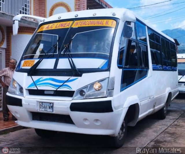 TA - A.C. Lnea Intercomunal 60 por Jerson Nova