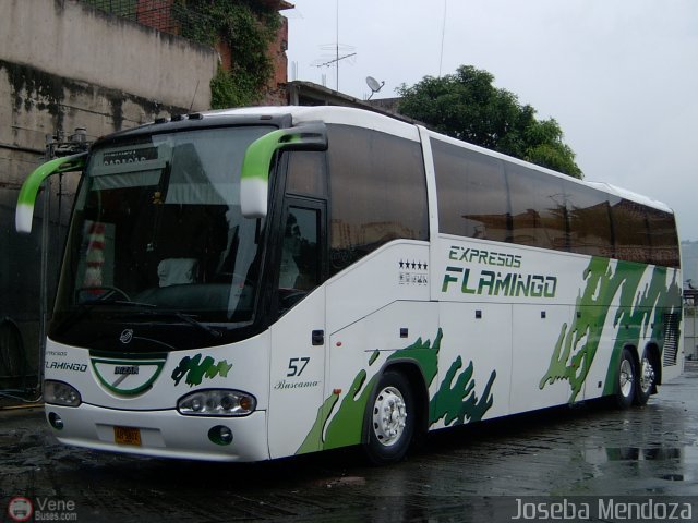 Expresos Flamingo 57 por Joseba Mendoza