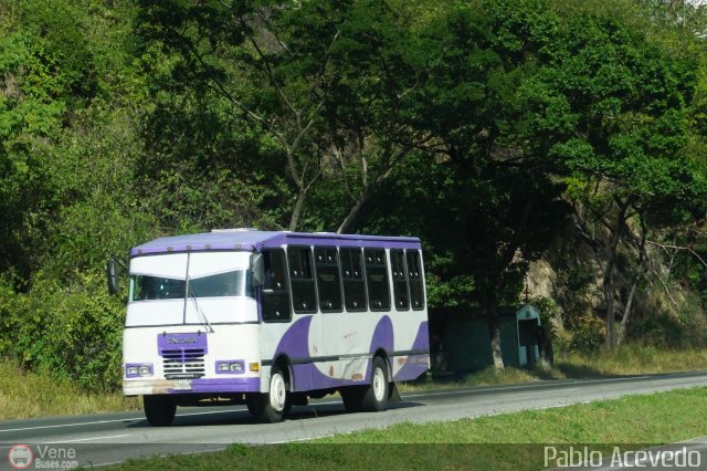 A.C. de Transporte La Raiza 013 por Pablo Acevedo