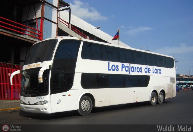 Los P�jaros de Lara 007 por Waldir Mata