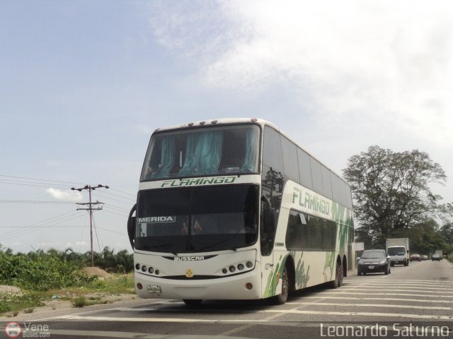 Expresos Flamingo 0107 por Leonardo Saturno