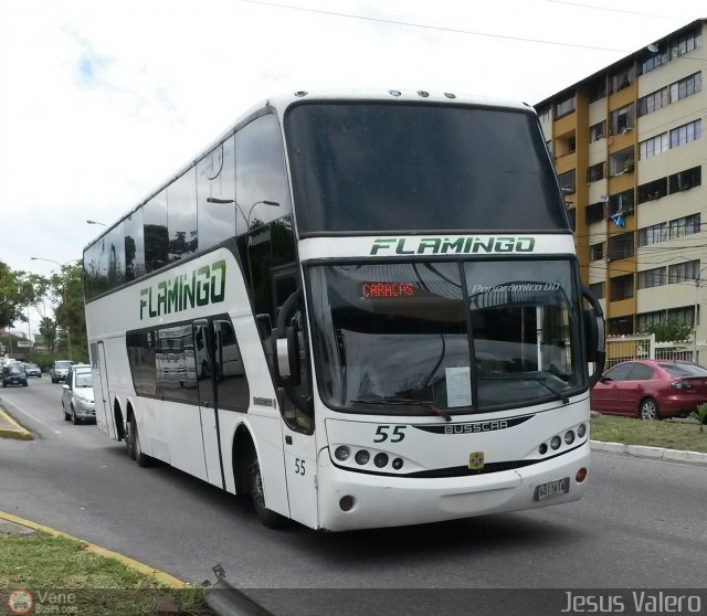 Expresos Flamingo 0055 por Jes�s Valero