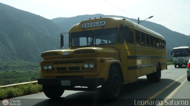 Universitarios y Escolares LS02 por Leonardo Saturno