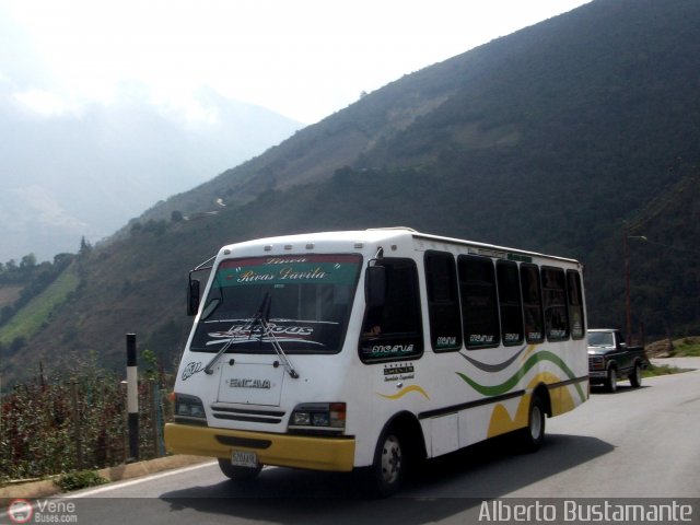 L�nea Rivas D�vila 0005 por Alberto Bustamante