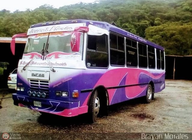 A.C. L�nea Mariscal 08 por Jerson Nova