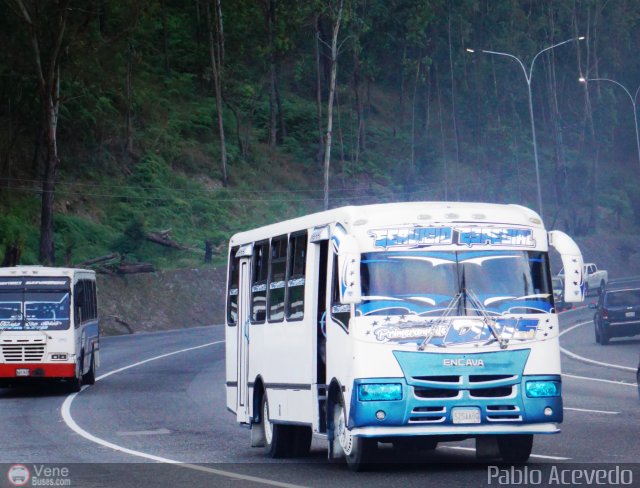 Particular o Desconocido Miranda por Pablo Acevedo