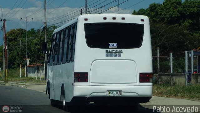 Uni�n T�chira 018 por Pablo Acevedo