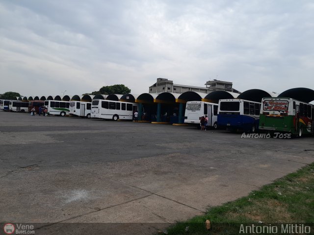 Garajes Paradas y Terminales San-Fernando por Antonio Mittilo