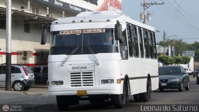 L�nea Los Andes S.C. 031 por Leonardo Saturno