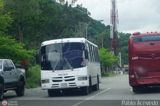 Particular o Desconocido 04 por Pablo Acevedo