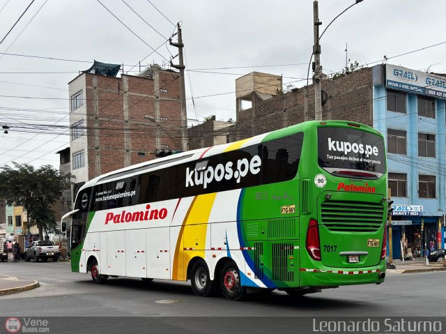 Expreso Internacional Palomino 7017 por Leonardo Saturno