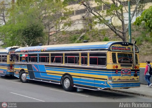 Transporte Guacara 0011 por Alvin Rond�n