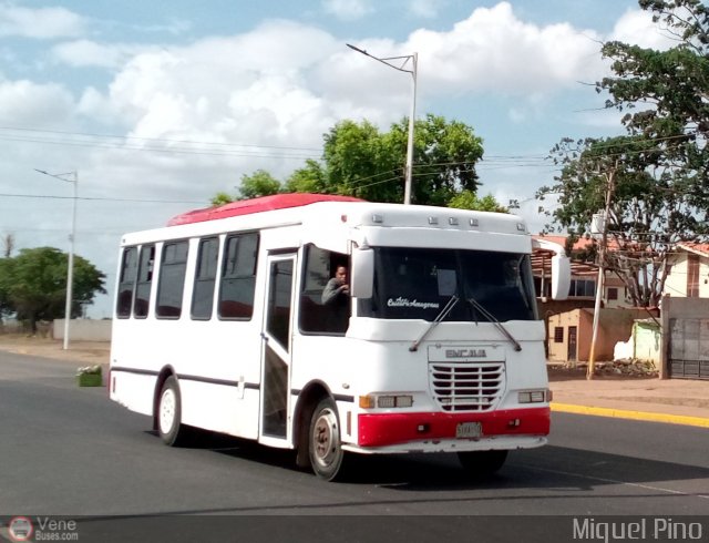 A.C.C. Caicara Amazonas 180 por Miguel Pino