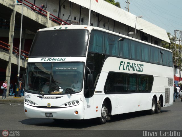 Expresos Flamingo 0068 por Oliver Castillo