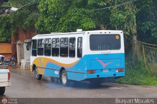 TA - A.C. Lnea Intercomunal 38 por Jerson Nova