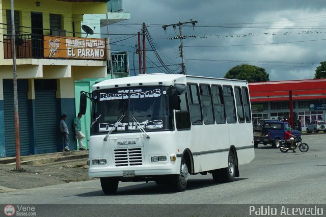 S.C. L�nea Barinitas 69 por Pablo Acevedo